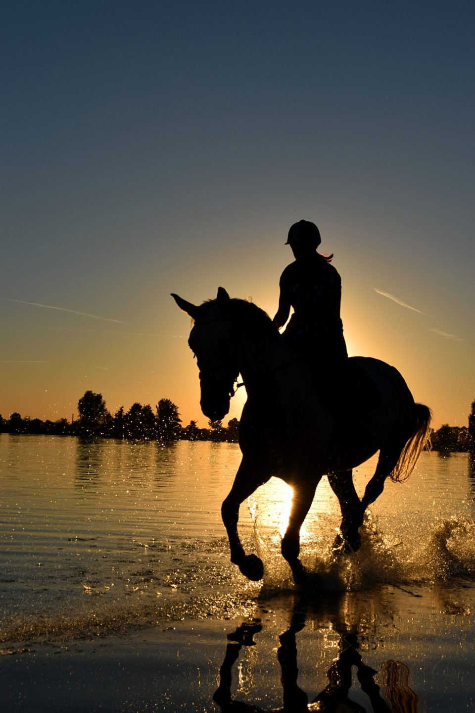 silhouette-of-person-riding-horse-on-body-of-water-under-210237